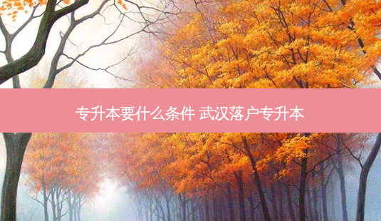 专升本要什么条件 武汉落户专升本-第1张图片-天智网 专升本要什么条件 武汉落户专升本-第1张图片-天智网