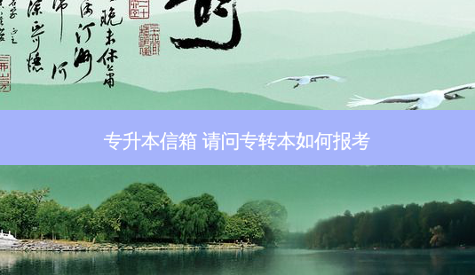 专升本信箱 请问专转本如何报考-第1张图片-天智网 专升本信箱 请问专转本如何报考-第1张图片-天智网