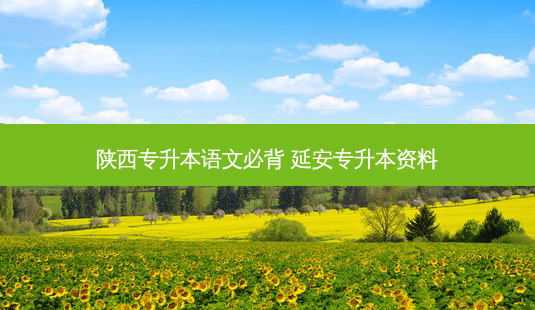 陕西专升本语文必背 延安专升本资料-第1张图片-天智网 陕西专升本语文必背 延安专升本资料-第1张图片-天智网