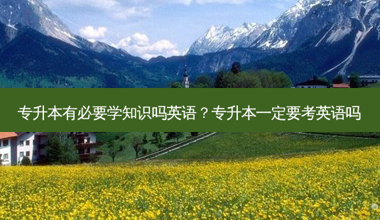 专升本有必要学知识吗英语?专升本一定要考英语吗-第1张图片-天智网 专升本有必要学知识吗英语?专升本一定要考英语吗-第1张图片-天智网