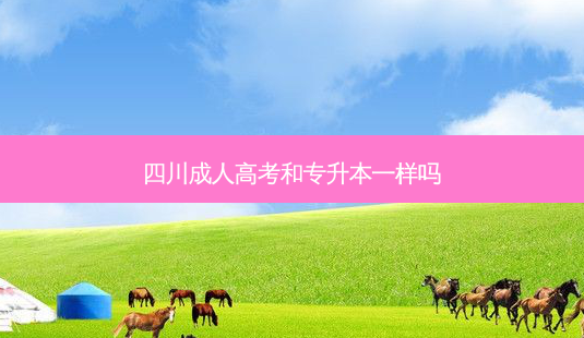 四川成人高考和专升本一样吗-第1张图片-天智网 四川成人高考和专升本一样吗-第1张图片-天智网