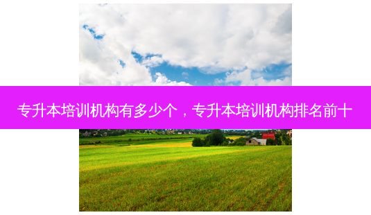 专升本培训机构有多少个,专升本培训机构排名前十-第1张图片-天智网 专升本培训机构有多少个,专升本培训机构排名前十-第1张图片-天智网