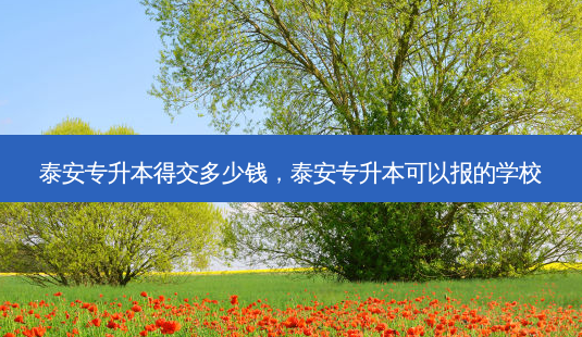 泰安专升本得交多少钱,泰安专升本可以报的学校-第1张图片-天智网 泰安专升本得交多少钱,泰安专升本可以报的学校-第1张图片-天智网