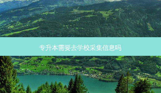 专升本需要去学校采集信息吗-第1张图片-天智网 专升本需要去学校采集信息吗-第1张图片-天智网
