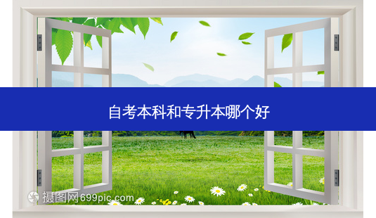自考本科和专升本哪个好-第1张图片-天智网 自考本科和专升本哪个好-第1张图片-天智网