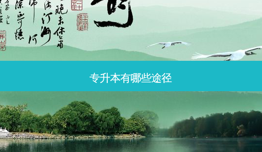 专升本有哪些途径-第1张图片-天智网 专升本有哪些途径-第1张图片-天智网