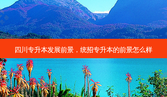 四川专升本发展前景,统招专升本的前景怎么样-第1张图片-天智网 四川专升本发展前景,统招专升本的前景怎么样-第1张图片-天智网