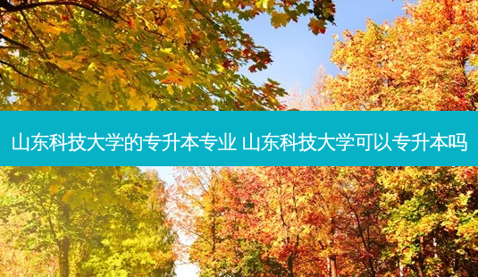 山东科技大学的专升本专业 山东科技大学可以专升本吗-第1张图片-汇成专升本网