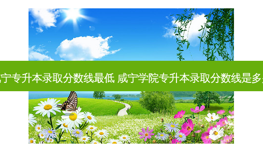 咸宁专升本录取分数线 *** 低 咸宁学院专升本录取分数线是多少-第1张图片-天智网 咸宁专升本录取分数线 *** 低 咸宁学院专升本录取分数线是多少-第1张图片-天智网
