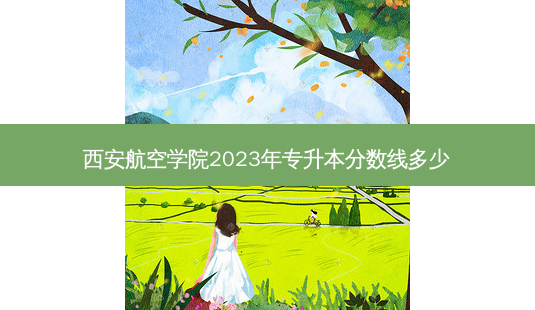 西安航空学院2023年专升本分数线多少-第1张图片-天智网 西安航空学院2023年专升本分数线多少-第1张图片-天智网