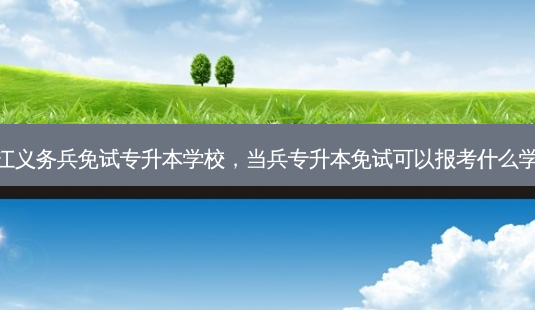 浙江义务兵免试专升本学校，当兵专升本免试可以报考什么学校-第1张图片-汇成专升本网