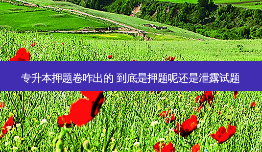 专升本押题卷咋出的 到底是押题呢还是泄露试题-第1张图片-天智网 专升本押题卷咋出的 到底是押题呢还是泄露试题-第1张图片-天智网