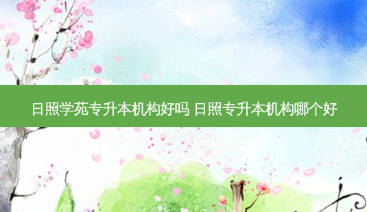 日照学苑专升本机构好吗 日照专升本机构哪个好-第1张图片-天智网 日照学苑专升本机构好吗 日照专升本机构哪个好-第1张图片-天智网