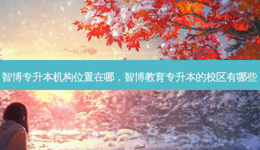 智博专升本机构位置在哪,智博教育专升本的校区有哪些-第1张图片-天智网 智博专升本机构位置在哪,智博教育专升本的校区有哪些-第1张图片-天智网