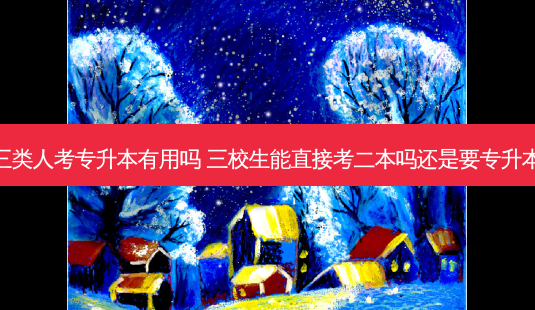 三类人考专升本有用吗 三校生能直接考二本吗还是要专升本-第1张图片-天智网 三类人考专升本有用吗 三校生能直接考二本吗还是要专升本-第1张图片-天智网