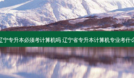 辽宁专升本必须考计算机吗 辽宁省专升本计算机专业考什么-第1张图片-汇成专升本网