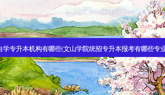 文山自学专升本机构有哪些(文山学院统招专升本报考有哪些专业选择)-第1张图片-天智网 文山自学专升本机构有哪些(文山学院统招专升本报考有哪些专业选择)-第1张图片-天智网