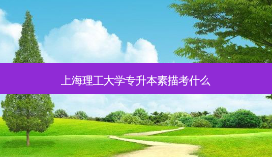 上海理工大学专升本素描考什么-第1张图片-天智网 上海理工大学专升本素描考什么-第1张图片-天智网