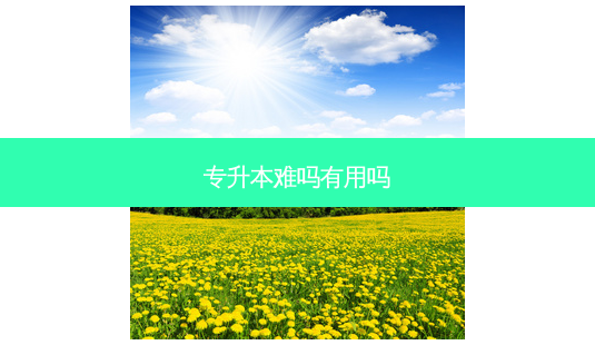 专升本难吗有用吗-第1张图片-天智网 专升本难吗有用吗-第1张图片-天智网