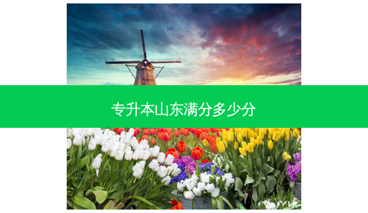 专升本山东满分多少分-第1张图片-天智网 专升本山东满分多少分-第1张图片-天智网