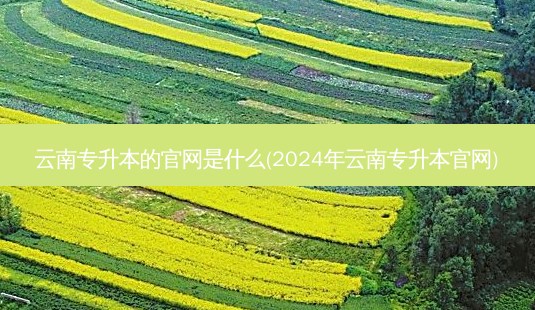 云南专升本的官网是什么(2024年云南专升本官网)-第1张图片-天智网 云南专升本的官网是什么(2024年云南专升本官网)-第1张图片-天智网