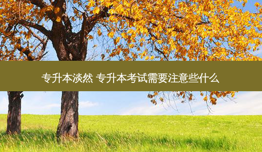 专升本淡然 专升本考试需要注意些什么-第1张图片-天智网 专升本淡然 专升本考试需要注意些什么-第1张图片-天智网