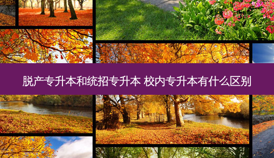 脱产专升本和统招专升本 校内专升本有什么区别-第1张图片-天智网 脱产专升本和统招专升本 校内专升本有什么区别-第1张图片-天智网