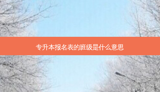 专升本报名表的班级是什么意思-第1张图片-天智网 专升本报名表的班级是什么意思-第1张图片-天智网