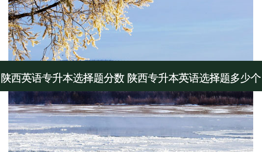 陕西英语专升本选择题分数 陕西专升本英语选择题多少个-第1张图片-天智网 陕西英语专升本选择题分数 陕西专升本英语选择题多少个-第1张图片-天智网