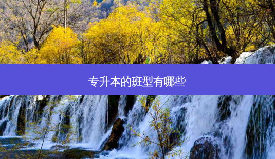 专升本的班型有哪些-第1张图片-天智网 专升本的班型有哪些-第1张图片-天智网