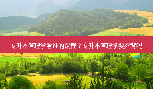 专升本管理学看谁的课程?专升本管理学要死背吗-第1张图片-天智网 专升本管理学看谁的课程?专升本管理学要死背吗-第1张图片-天智网
