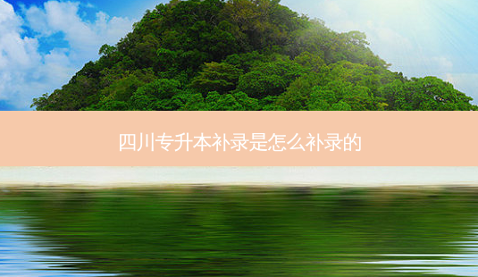 四川专升本补录是怎么补录的-第1张图片-天智网 四川专升本补录是怎么补录的-第1张图片-天智网