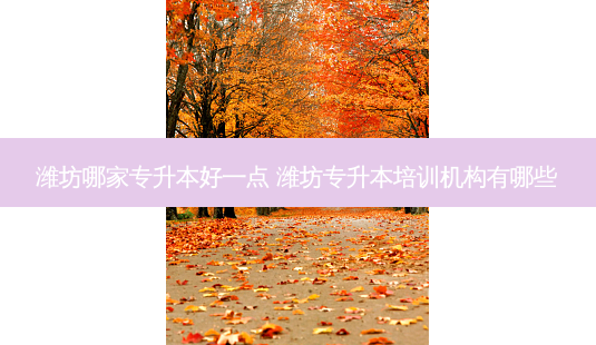潍坊哪家专升本好一点 潍坊专升本培训机构有哪些-第1张图片-天智网 潍坊哪家专升本好一点 潍坊专升本培训机构有哪些-第1张图片-天智网