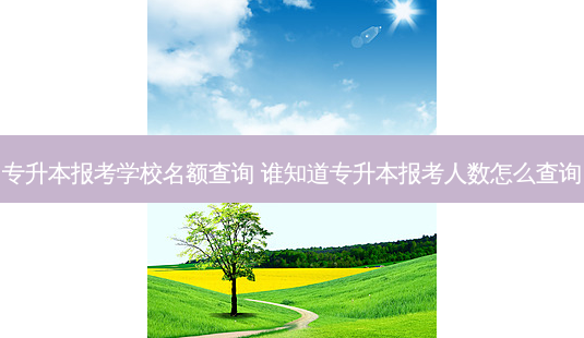 专升本报考学校名额查询 谁知道专升本报考人数怎么查询-第1张图片-天智网 专升本报考学校名额查询 谁知道专升本报考人数怎么查询-第1张图片-天智网