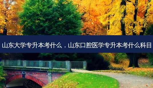 山东大学专升本考什么,山东口腔医学专升本考什么科目-第1张图片-天智网 山东大学专升本考什么,山东口腔医学专升本考什么科目-第1张图片-天智网