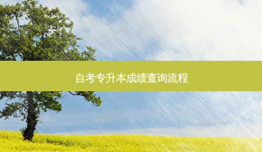 自考专升本成绩查询流程-第1张图片-天智网 自考专升本成绩查询流程-第1张图片-天智网