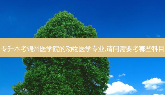 专升本考锦州医学院的动物医学专业,请问需要考哪些科目-第1张图片-天智网 专升本考锦州医学院的动物医学专业,请问需要考哪些科目-第1张图片-天智网