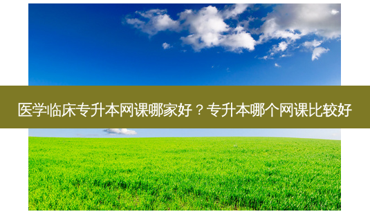 医学临床专升本网课哪家好?专升本哪个网课比较好-第1张图片-天智网 医学临床专升本网课哪家好?专升本哪个网课比较好-第1张图片-天智网