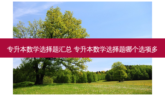 专升本数学选择题汇总 专升本数学选择题哪个选项多-第1张图片-天智网 专升本数学选择题汇总 专升本数学选择题哪个选项多-第1张图片-天智网