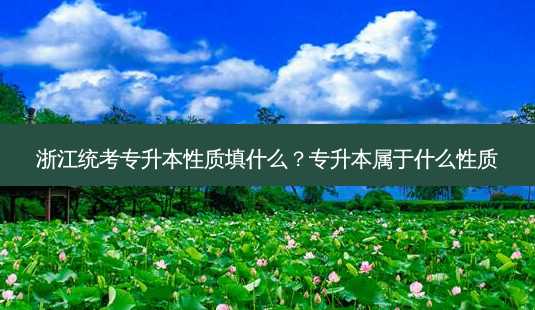 浙江统考专升本性质填什么?专升本属于什么性质-第1张图片-天智网 浙江统考专升本性质填什么?专升本属于什么性质-第1张图片-天智网