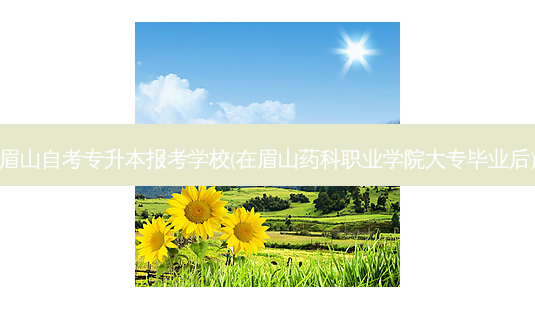 眉山自考专升本报考学校(在眉山药科职业学院大专毕业后)-第1张图片-天智网 眉山自考专升本报考学校(在眉山药科职业学院大专毕业后)-第1张图片-天智网