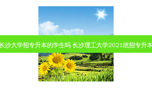 长沙大学招专升本的学生吗 长沙理工大学2021统招专升本-第1张图片-天智网 长沙大学招专升本的学生吗 长沙理工大学2021统招专升本-第1张图片-天智网