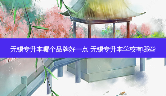 无锡专升本哪个品牌好一点 无锡专升本学校有哪些-第1张图片-天智网 无锡专升本哪个品牌好一点 无锡专升本学校有哪些-第1张图片-天智网