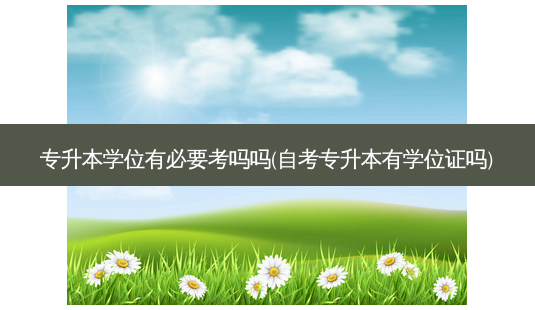 专升本学位有必要考吗吗(自考专升本有学位证吗)-第1张图片-天智网 专升本学位有必要考吗吗(自考专升本有学位证吗)-第1张图片-天智网