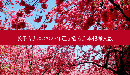 长子专升本 2023年辽宁省专升本报考人数-第1张图片-汇成专升本网