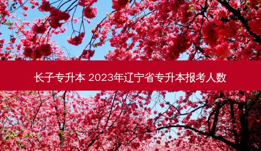 长子专升本 2023年辽宁省专升本报考人数-第1张图片-天智网 长子专升本 2023年辽宁省专升本报考人数-第1张图片-天智网