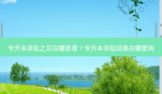 专升本录取之后在哪里看?专升本录取结果在哪查询-第1张图片-天智网 专升本录取之后在哪里看?专升本录取结果在哪查询-第1张图片-天智网