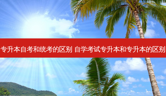 专升本自考和统考的区别 自学考试专升本和专升本的区别-第1张图片-汇成专升本网