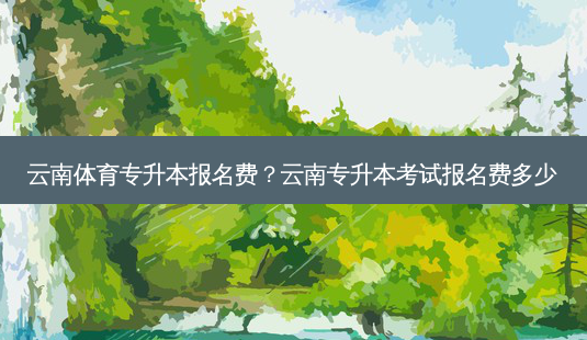 云南体育专升本报名费?云南专升本考试报名费多少-第1张图片-天智网 云南体育专升本报名费?云南专升本考试报名费多少-第1张图片-天智网
