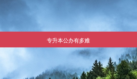 专升本公办有多难-第1张图片-天智网 专升本公办有多难-第1张图片-天智网